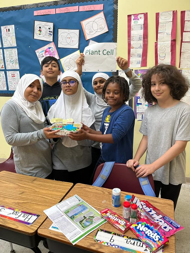 Salah Tawfik School Florida